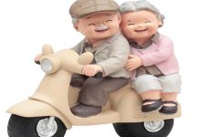 زوج سالمند بر روی موتور