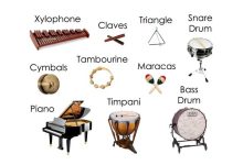 موسیقی انواع ساز کوبه ای