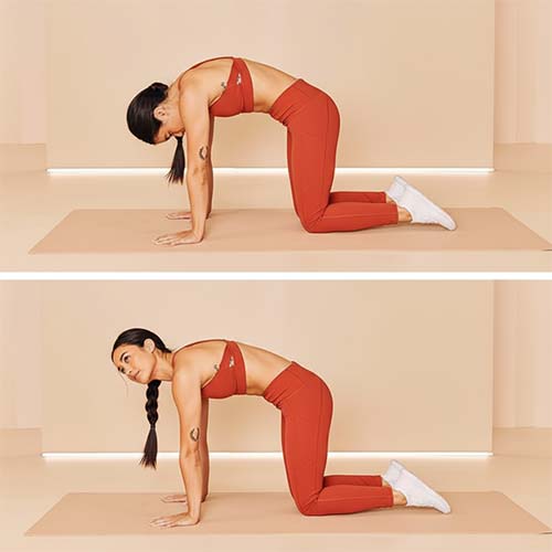 حرکات ورزشی حرکت گربه-گاو (Cat-Cow Stretch)