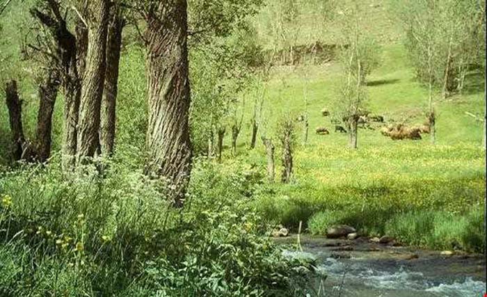 تبریز دره لیقوان: دره حاصلخیز با رودخانه و محصولات محلی